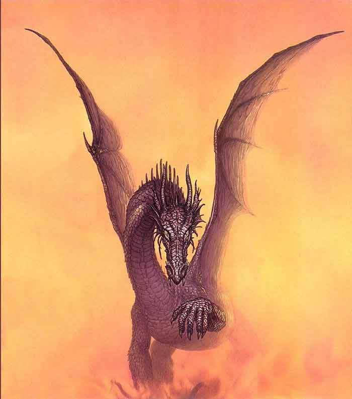 Morok