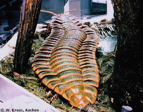 Arthropleura