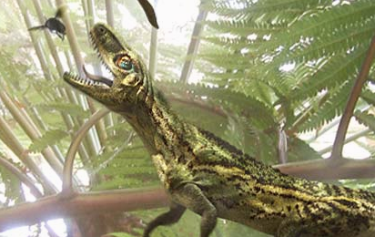 Euparkeria