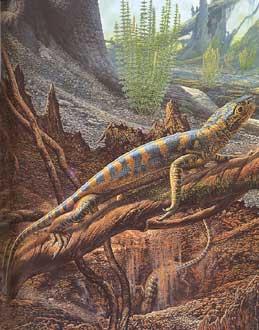 Hylonomus