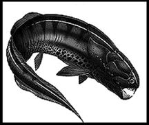 Dunkleosteus