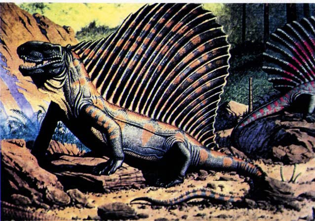 Dimetrodon