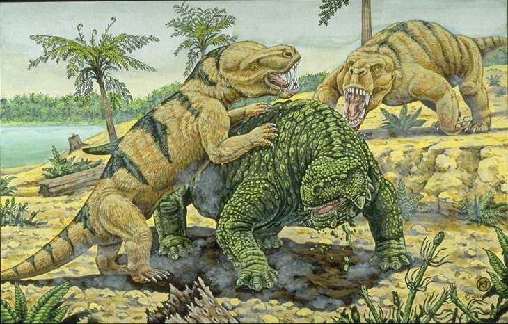 Dinogorgon