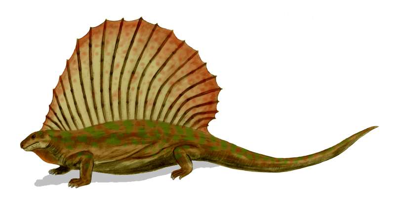 Edaphosaurus