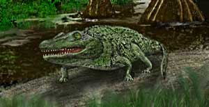 Eryops