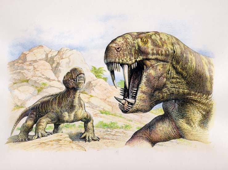 Gorgonops