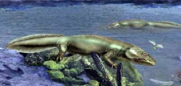 Labyrinthodont