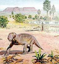 Lycaenops
