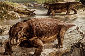 Lystrosaurus