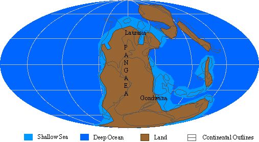 Permian Globe