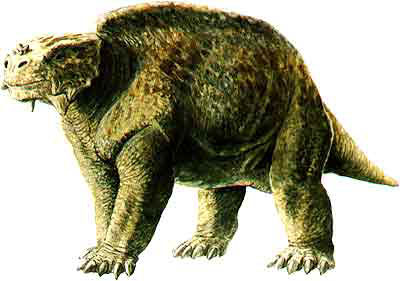 Scutosaurus