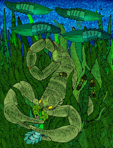 Brontoscorpio