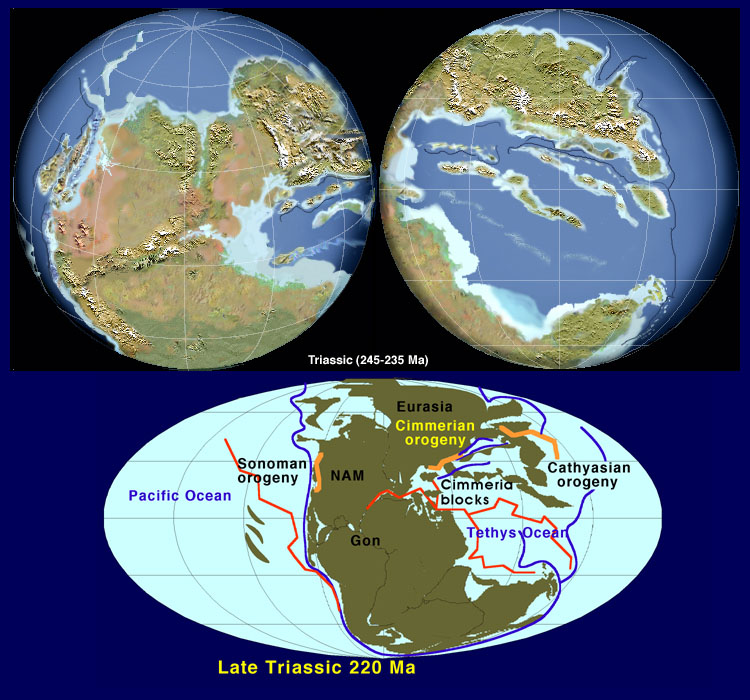 The Triassic Globe