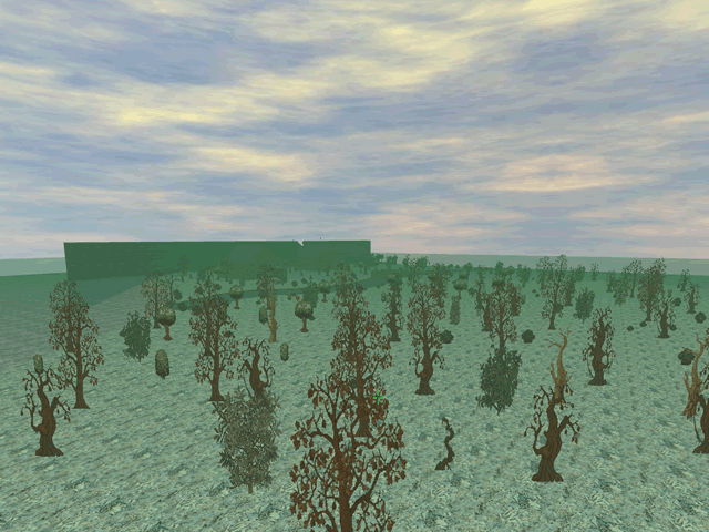 Project 5 Preview 4